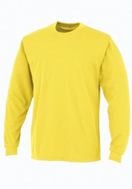 DAIRIKI  Ĺµԥ AIR030(顼)