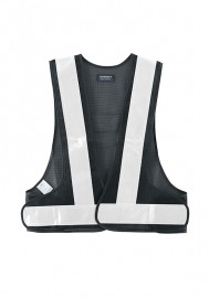 DAIRIKI  ݥꥹȿͥ٥ 10093