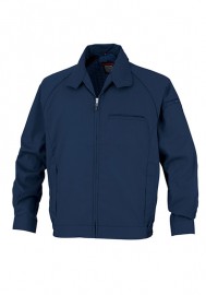 DAIRIKI  Ĺµ顼֥륾 66002