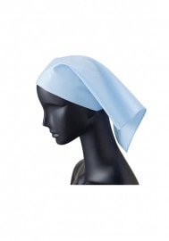 �������� SerVo ���Ѷ� 51