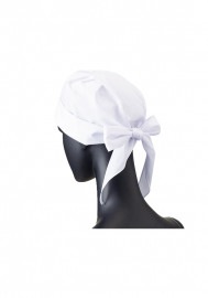 �������� SerVo ���Ѷҷ�˹�� 67