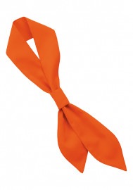 �������� SerVo ������������ EA-6737/EA-6738/