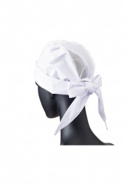 �������� SerVo ���Ѷҷ�˹�� ��å����� FA-66