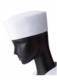 �������� SerVo ��˹�� FH-20