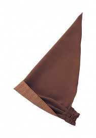 �������� SerVo �Х����˹ MA-6081