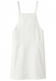 �������� SerVo ���ץ��� RA-1890/RA-1891/RA-1892/RA-1893/RA-1894/RA-1895/RA-1897