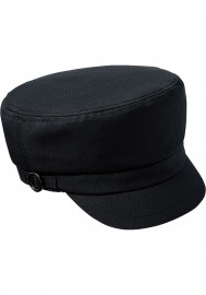 �������� SerVo ˹�� SHAU-2101