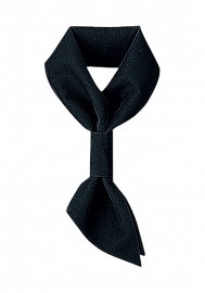 �������� SerVo ������ AC-104