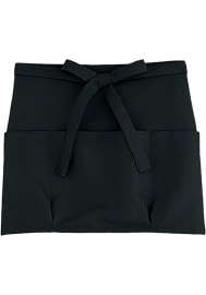  SerVo 硼ȥץ AP-048