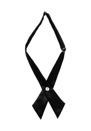 arbe   AS-12R ȥ chitose