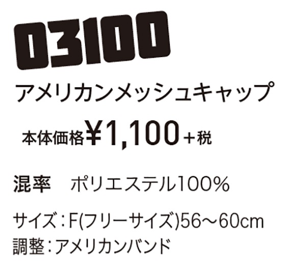 DAIRIKI �������� ����ꥫ���å��奭��å� 03100