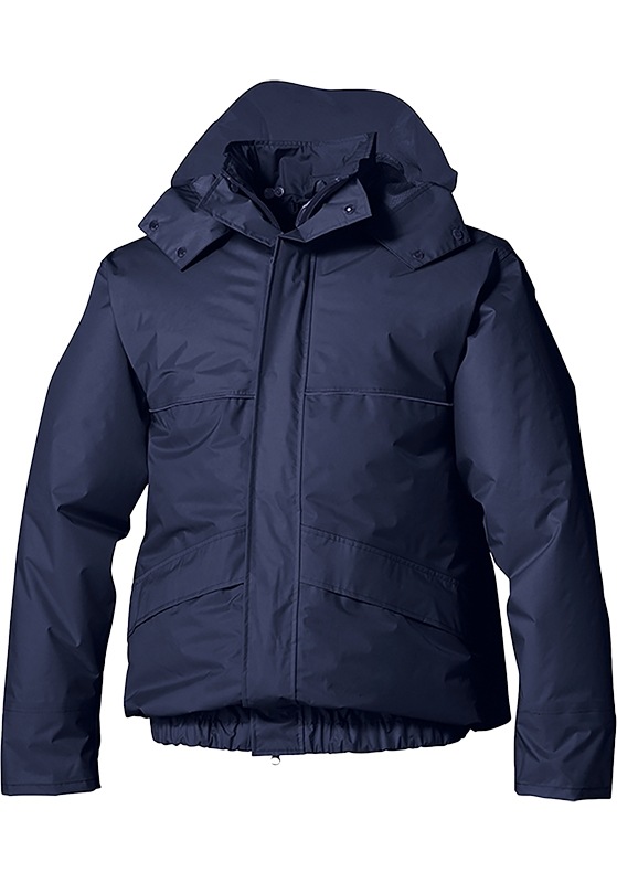 �����ȥ� AITOZ ��Ĵ�� �쥤�󥹡���(�˽�����) AZ-9097