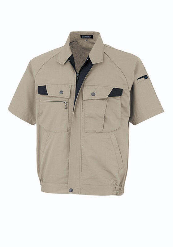 DAIRIKI �������� Ⱦµ�֥륾�� D1-18001