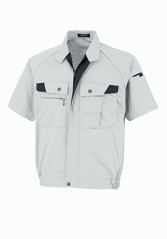 DAIRIKI �������� Ⱦµ�֥륾�� D1-18001