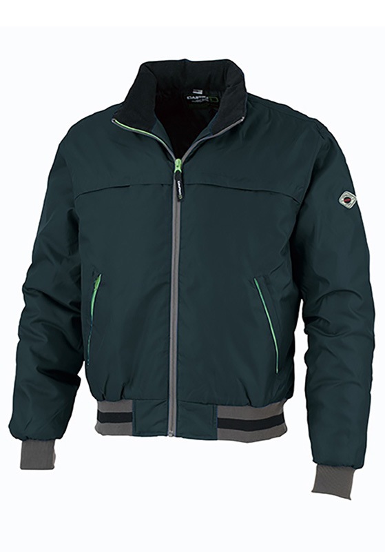 DAIRIKI  ɴ֥륾 DW3000