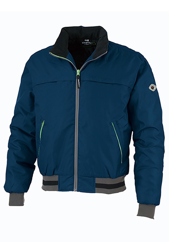 DAIRIKI  ɴ֥륾 DW3000