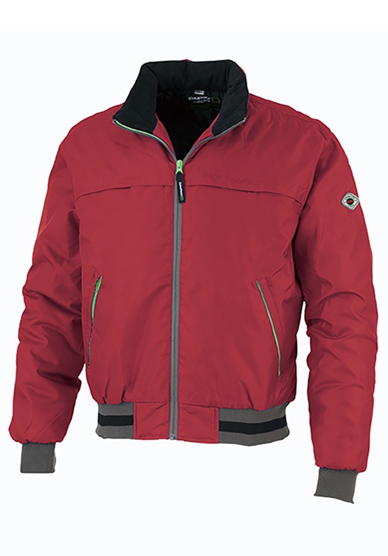 DAIRIKI  ɴ֥륾 DW3000