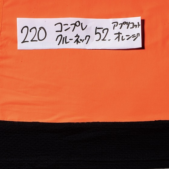 �������ե���ƥ��� I'Z FRONTIER �ܿ��䴶����ץ�å����ϥ��ͥå������ 221