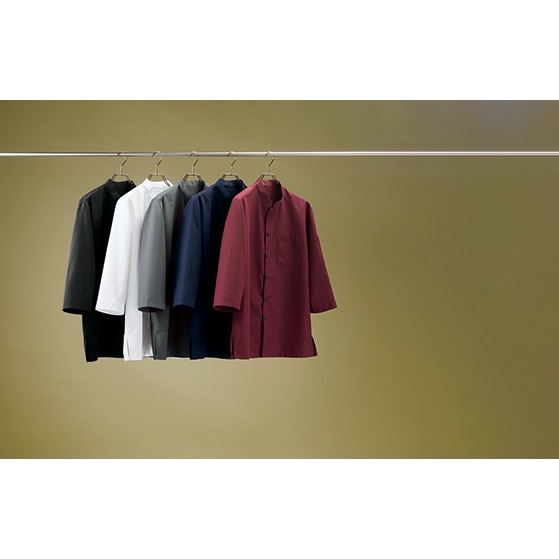  SerVo ˽ѥļʬµ BL1900