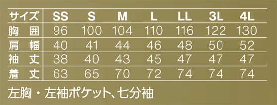  SerVo ˽ѥļʬµ BL1900