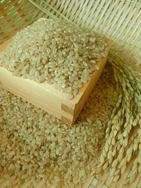 ���£�ǯ�ٿ��㸩�������ҥ��긼��20����48