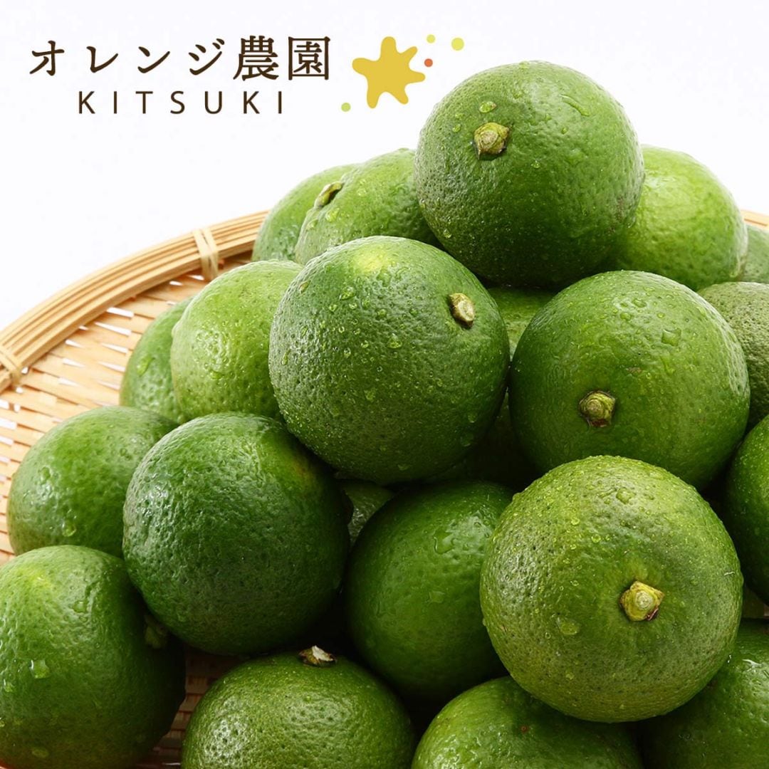オレンジ農園] 大分県産 種なしかぼす 4kg 箱入り 【発送時期:9月中旬