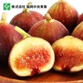 [福岡中央青果]  いちじく(博多とよみつ姫) 300g×4パック