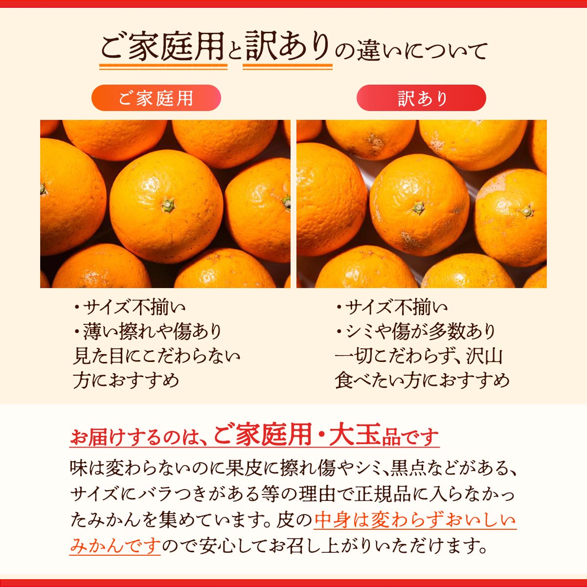 みかんです。 森本農園] 極早生みかん 大玉2L 10kg | 和歌山県 | ご当地グルメ・名産