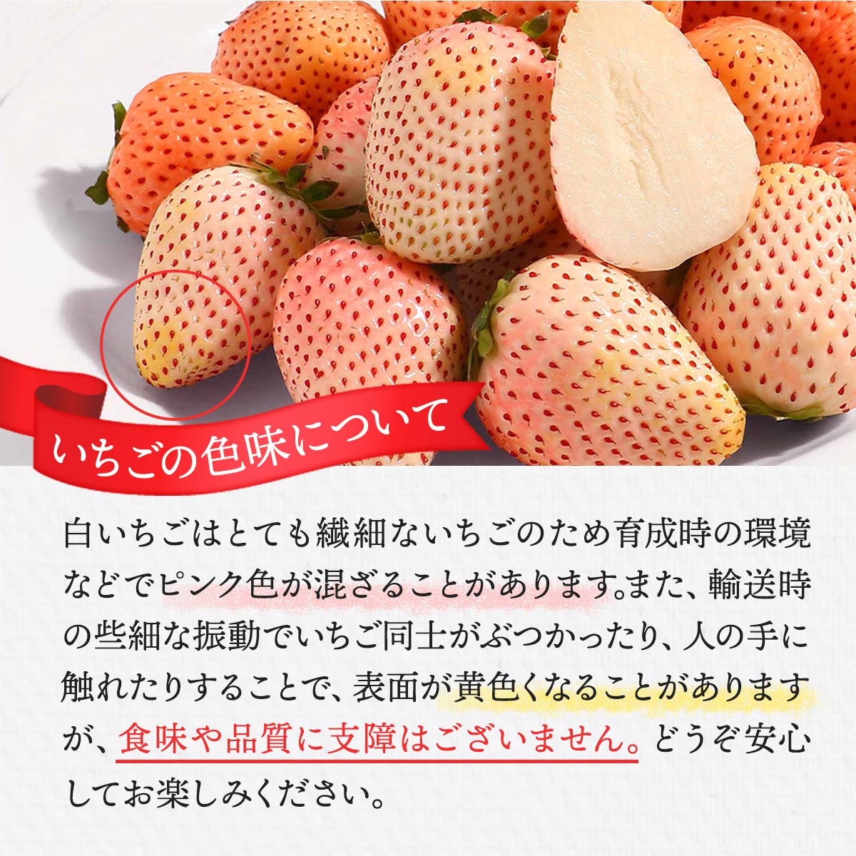 岸川農園] 佐賀県産いちご 白いちご食べ比べ（淡雪1パック×パール
