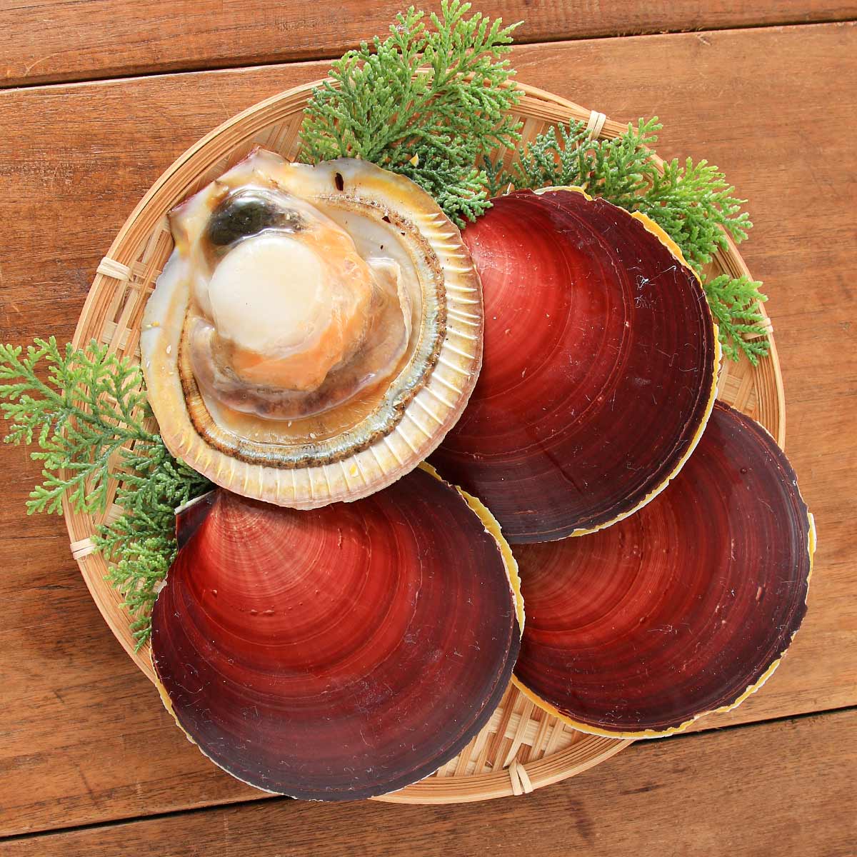 丸山海産] 冷凍月日貝 1kg | 鹿児島県 | ご当地グルメ・名産・特産品