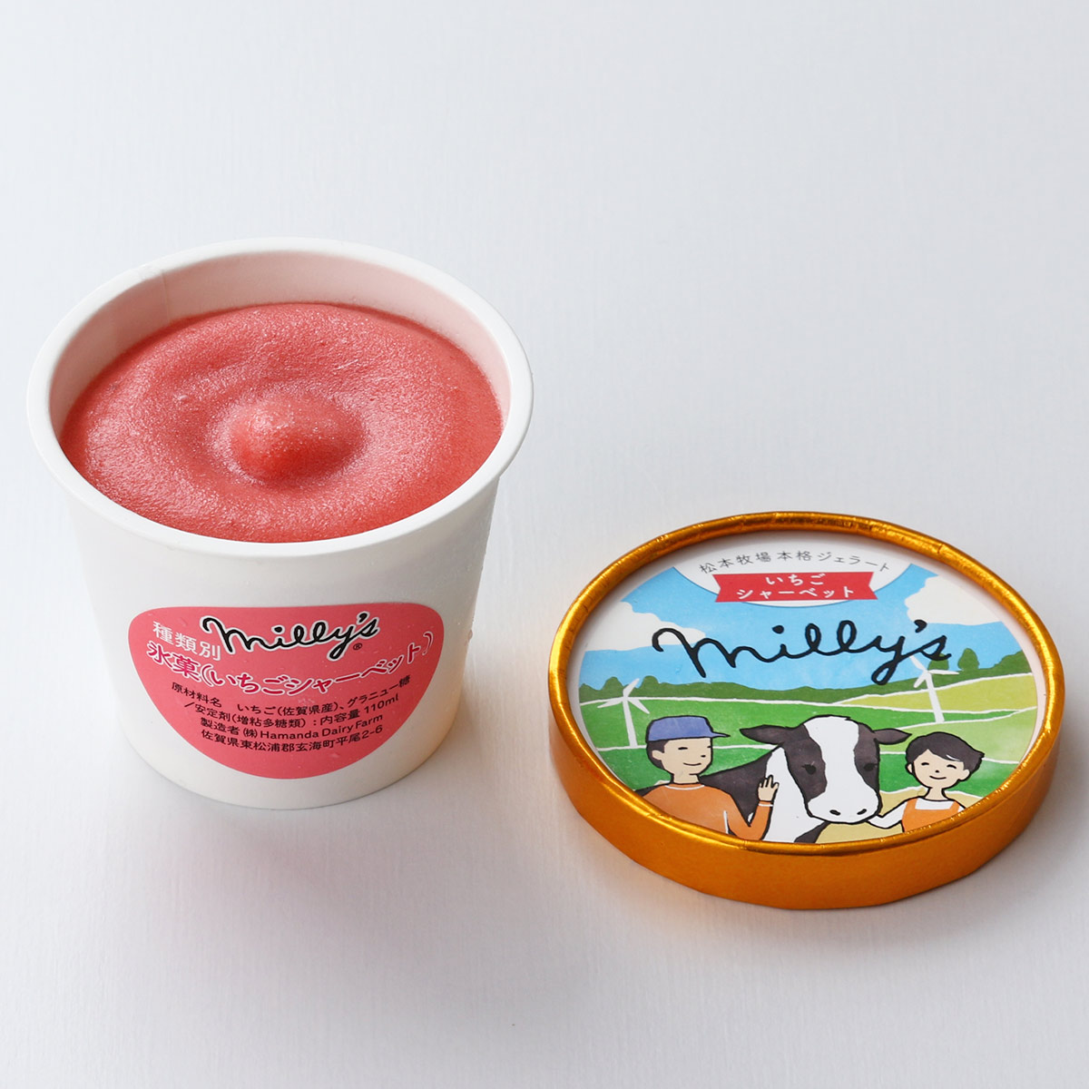松本アイス工房] 松本牧場 本格ジェラート millys(ミリーズ) 9個セット
