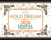 GOLD DREAM