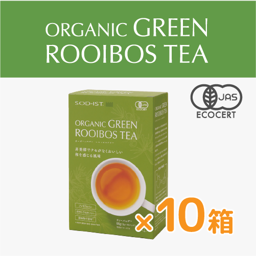 オーガニック　グリーンルイボスティー　10箱セット