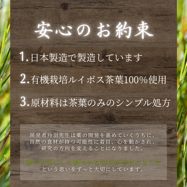 ルイボスTX　5箱セット