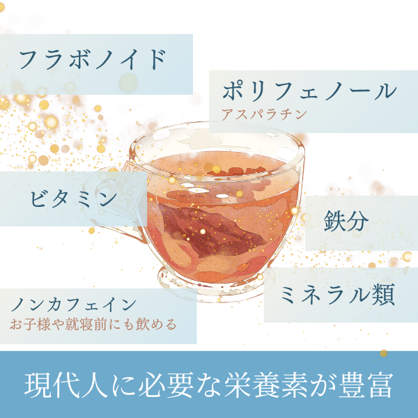 ルイボスTX　5箱セット