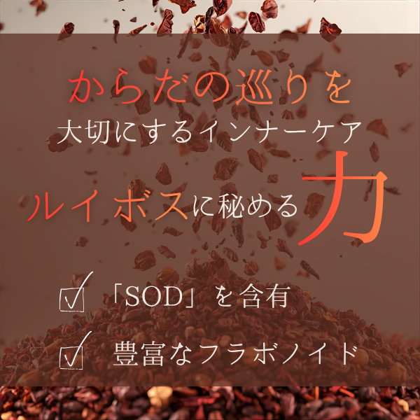 ルイボスTX30 10箱セット