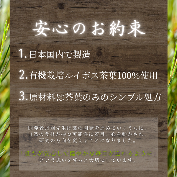ルイボスTX30 10箱セット
