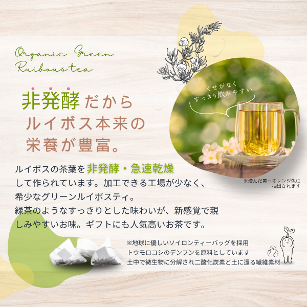 オーガニック　グリーンルイボスティー