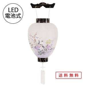  ѥ 礦   Ϻ   ץ饹å LED Ӽ ߥ 襤2025 ز