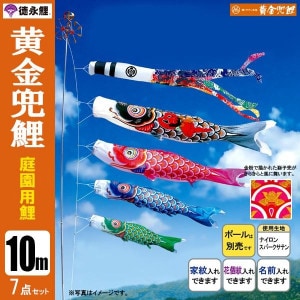 鯉のぼり10mセット/こいのぼり