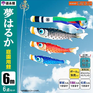 鯉のぼり6mセットポール無/こいのぼり