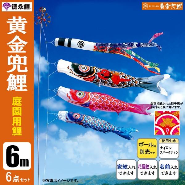 徳永鯉黄金兜鯉6mセット 庭園用