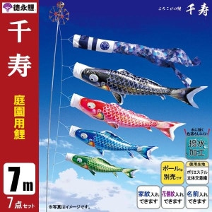 鯉のぼり7mセットポール無/こいのぼり