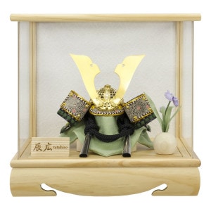 ޷ͷ ѥ 1/6  륱 ֤ ä    5ͷ  ä  2025