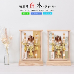 ����� ����ѥ��� �ߥ� ����� ������ ���� ���ˤ� ��������� ���������� 11�� ���٤� �ɲ� �� ���� ������륱���� ����� ������� ����ƥꥢ 2026 gh005