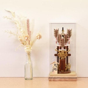  ׷ ѥ    9       ˶   ߥ  2025