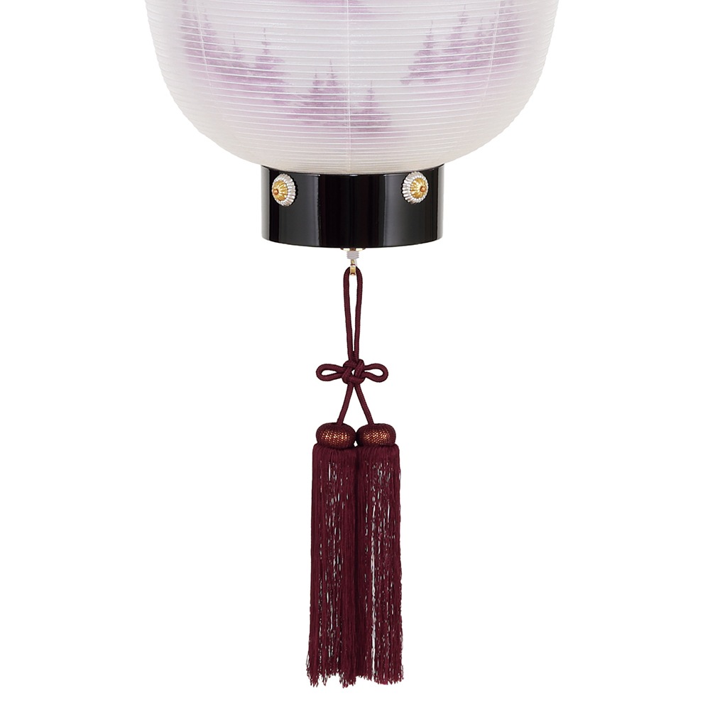  ѥ 礦   Ϻ   Ĺ   ޸ĥ LED Ӽ ߥ 8324-gj-091l 2025