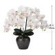 ������ ���� ���� ������� ����� �ߥ� ���礦���� �롼�ߡ���ߥʥ� ��ĳ�� ����Ω LED �����ɥ쥹 ���Ӽ� ƫ�������� ������ �Ϻ� 2024