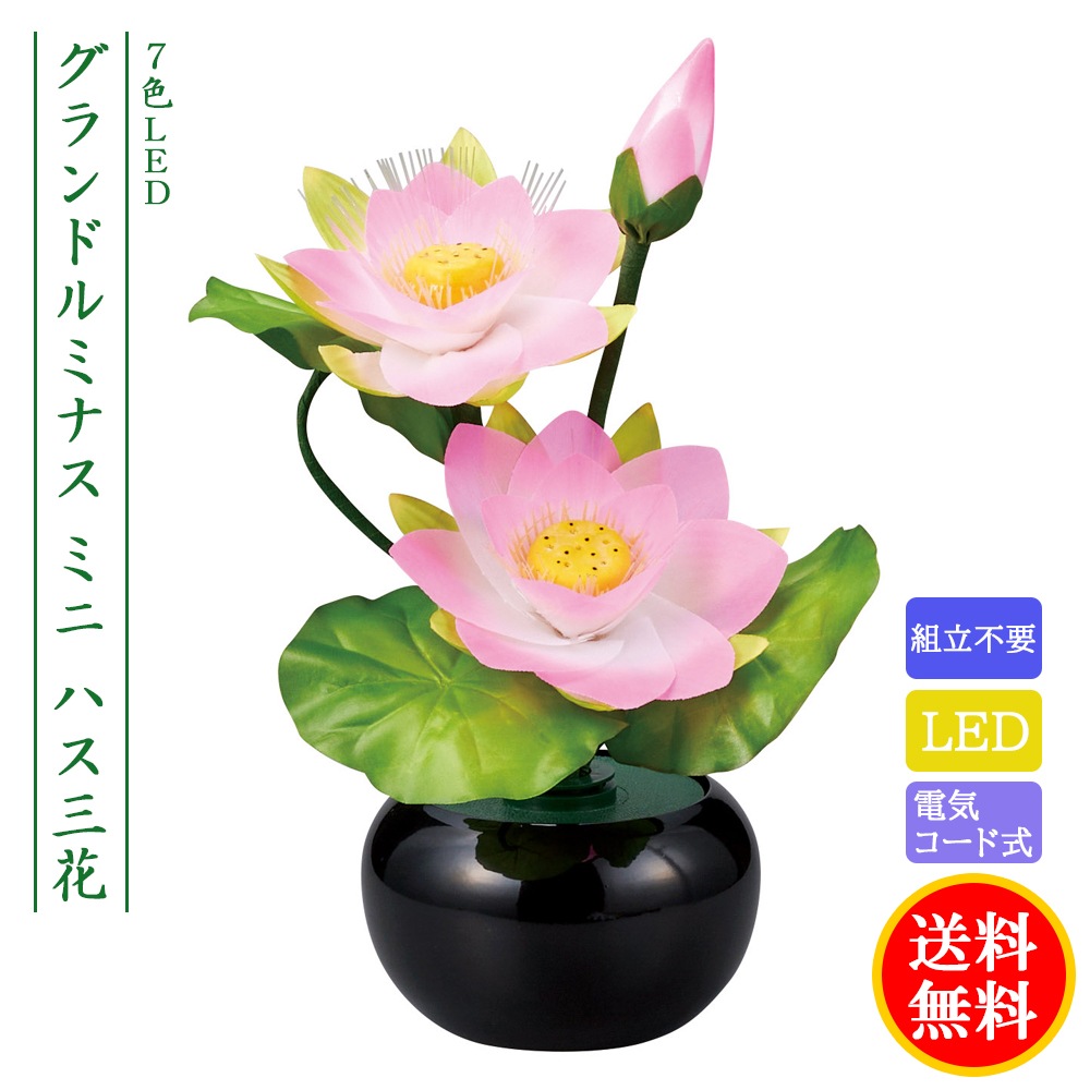 ������ ���� ���� ������� ����� �ߥ� ���礦���� �����ɥ�ߥʥ� STD �ߥ˥ϥ� ���� ����LED �ŵ������ɼ� �Ϻ� 2024