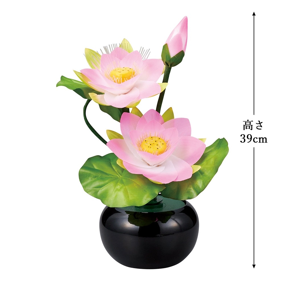 ������ ���� ���� ������� ����� �ߥ� ���礦���� �����ɥ�ߥʥ� STD �ߥ˥ϥ� ���� ����LED �ŵ������ɼ� �Ϻ� 2024